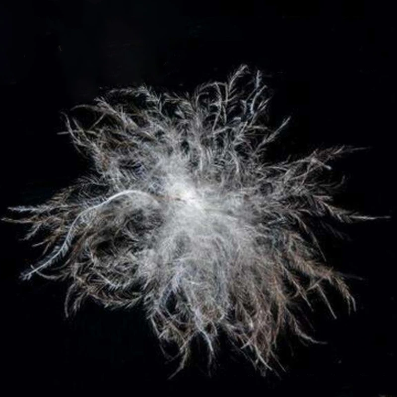 
Bulk down feather fill material 30% washed grey duck down 70% duck feather for pillow/ duvet/cushion 