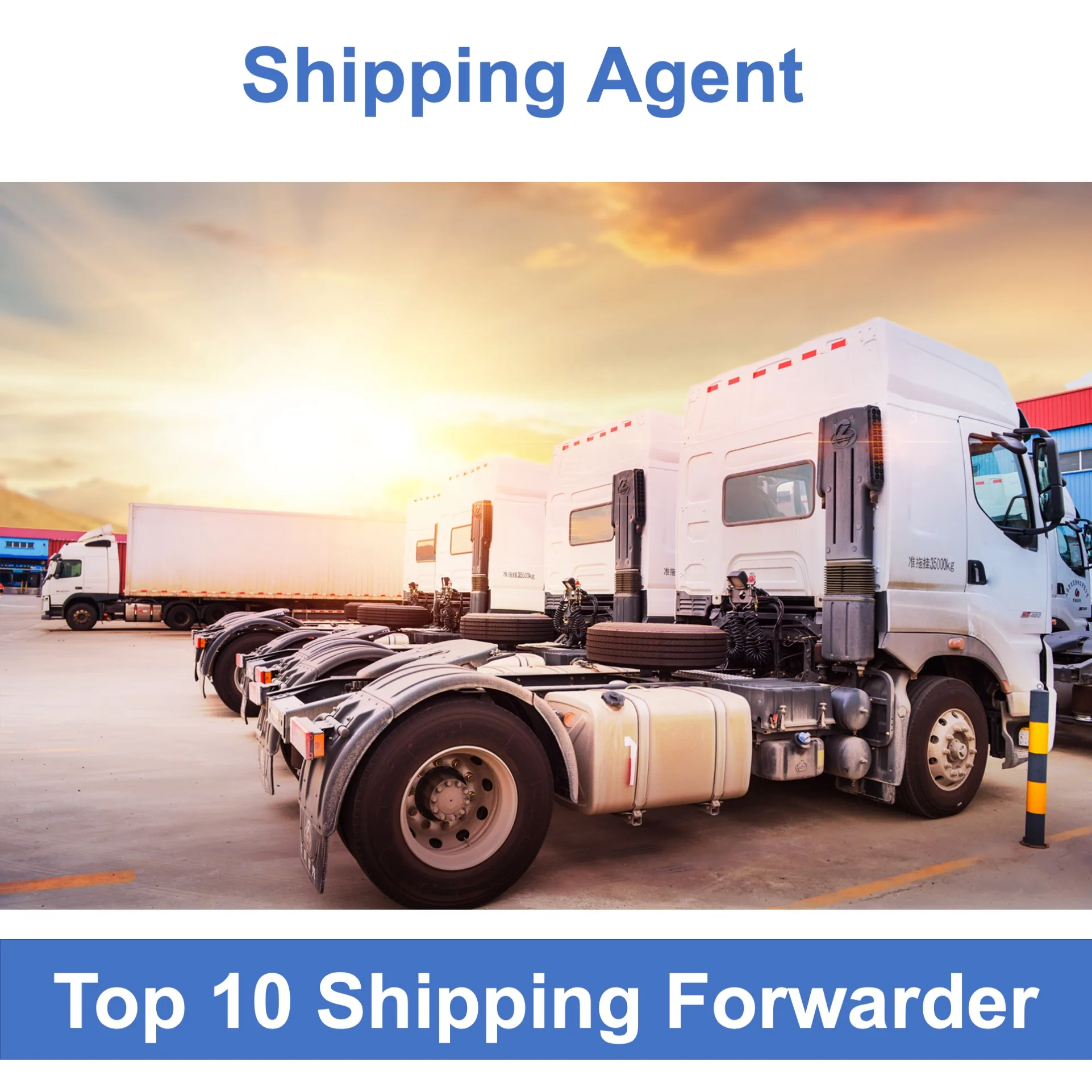 The most intimate service  shipping agent from china to united states  door to door