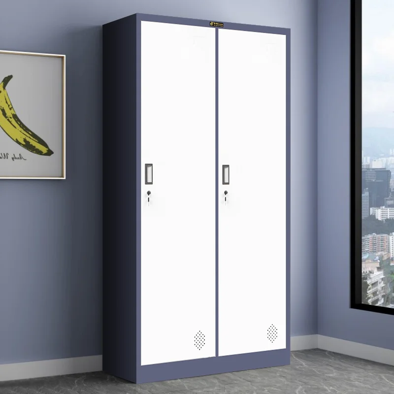 metal clothing lockers two door steel clothes Wholesale price cabinet