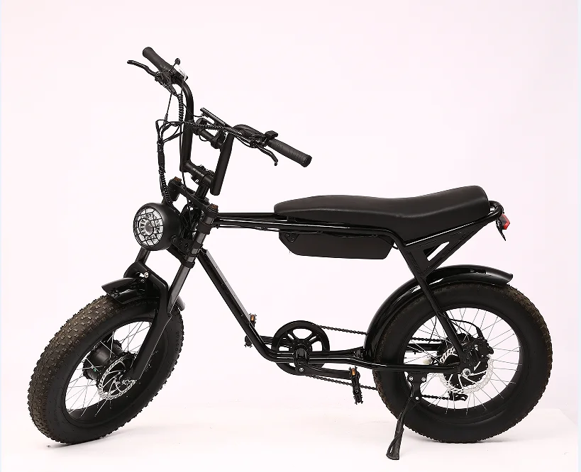 20 inch Super Power 48V 500W 750W Ebike Fat Tire Electric city Bike Super Electric Bike 73