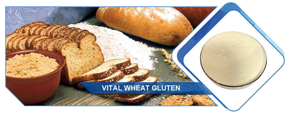 Factory Supply High quality Vital Wheat Gluten Flour With best Price for Bread