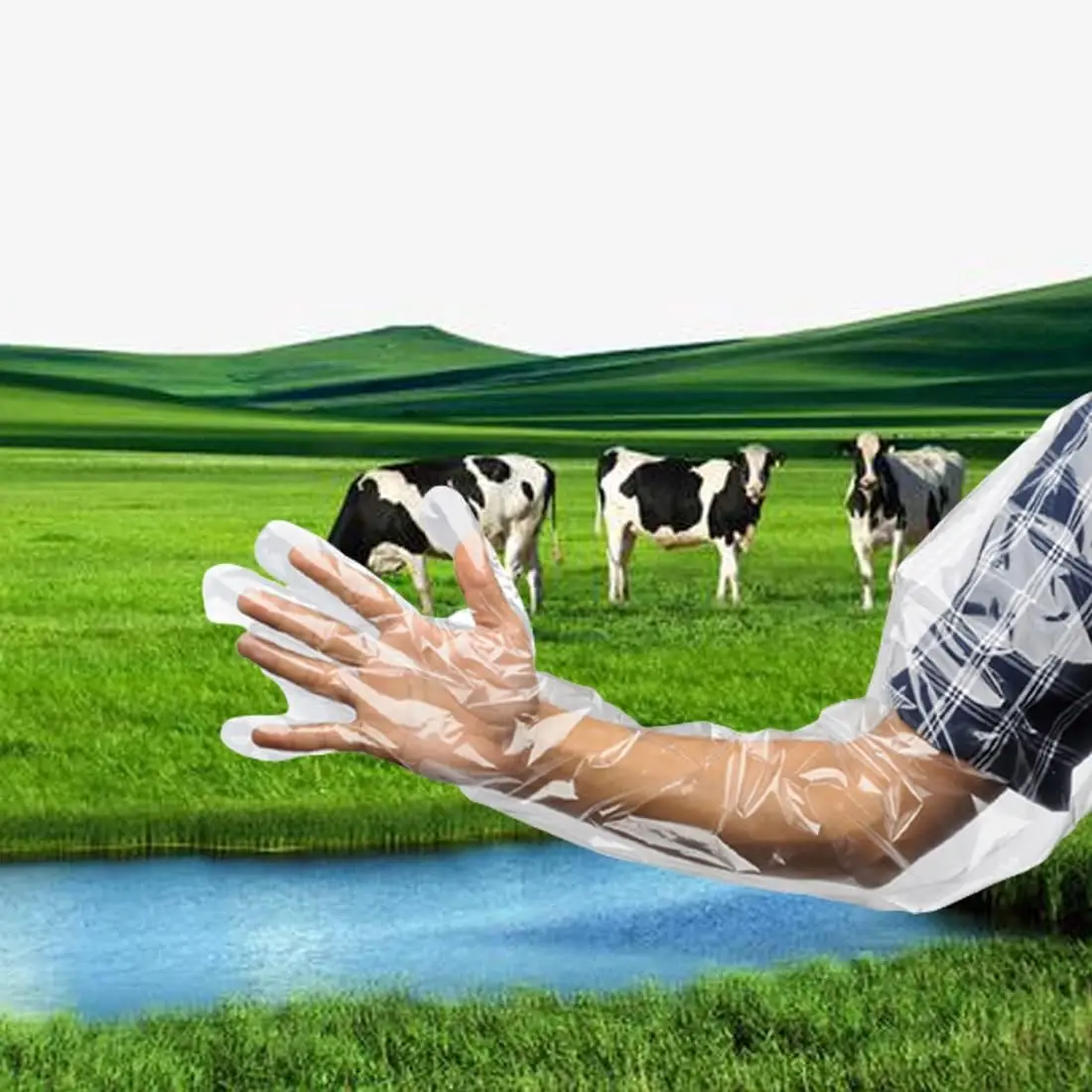 Artificial Insemination Tools Veterinary Long Touchntuff Protect ldpe Plastic Gloves Eldiven