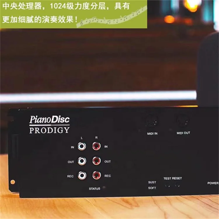 KG-231 PianoDisc Automatic play piano