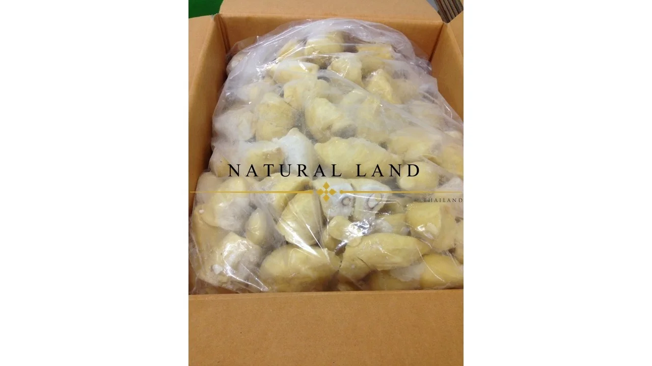 HIGH QUALITY FROZEN DURIAN MONTHONG THE GREATEST TASTE AND PREMIUM QUALITY