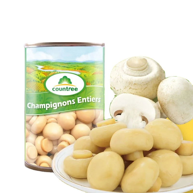 Hot Sale Competitive Price Chinese Canned Best Mushroom With Different Sizes