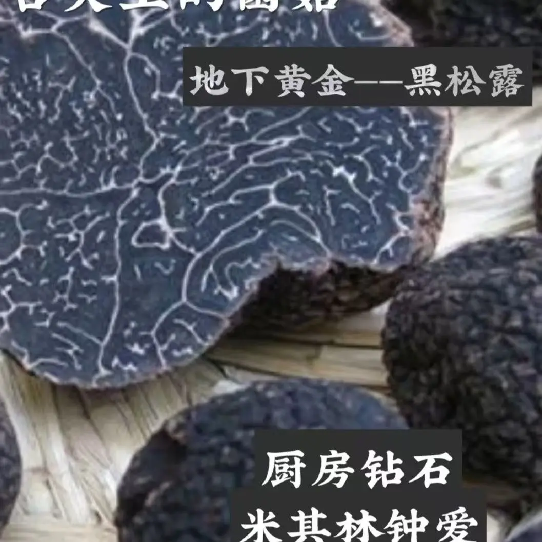 truffle Edible mushroom truffle mushrooms