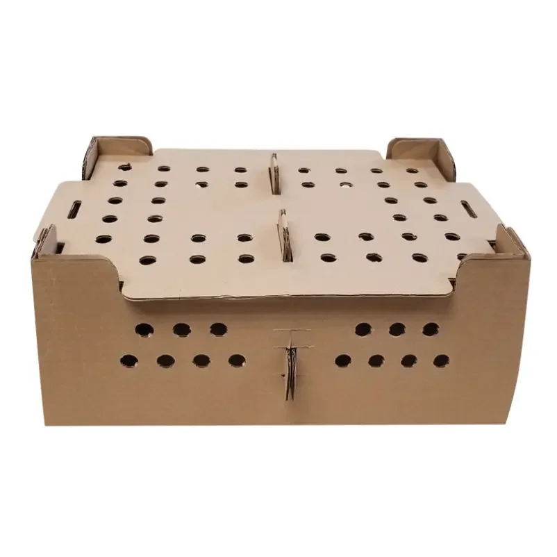 Transport poultry cardboard boxes chicken chick carton cardboard boxes for transport of chicks paper chick transport box