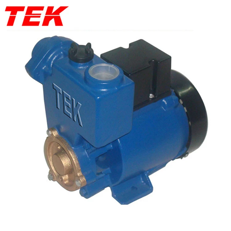 GP-250A GP250A GP-250 GP-250 Copper Wire Motor Cast Iron Self-priming Peripheral GP Pump OEM