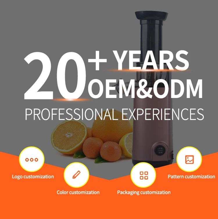 1800W Fast Heat up Travel household garment steamer handheld ironing