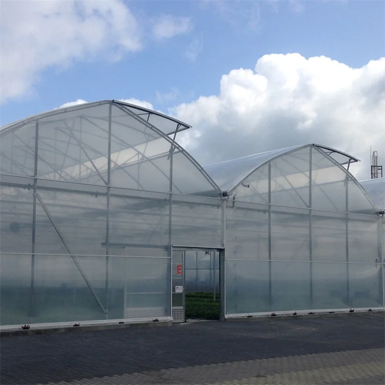 Low Cost Hydroponic Growing Systems Greenhouse Agriculture