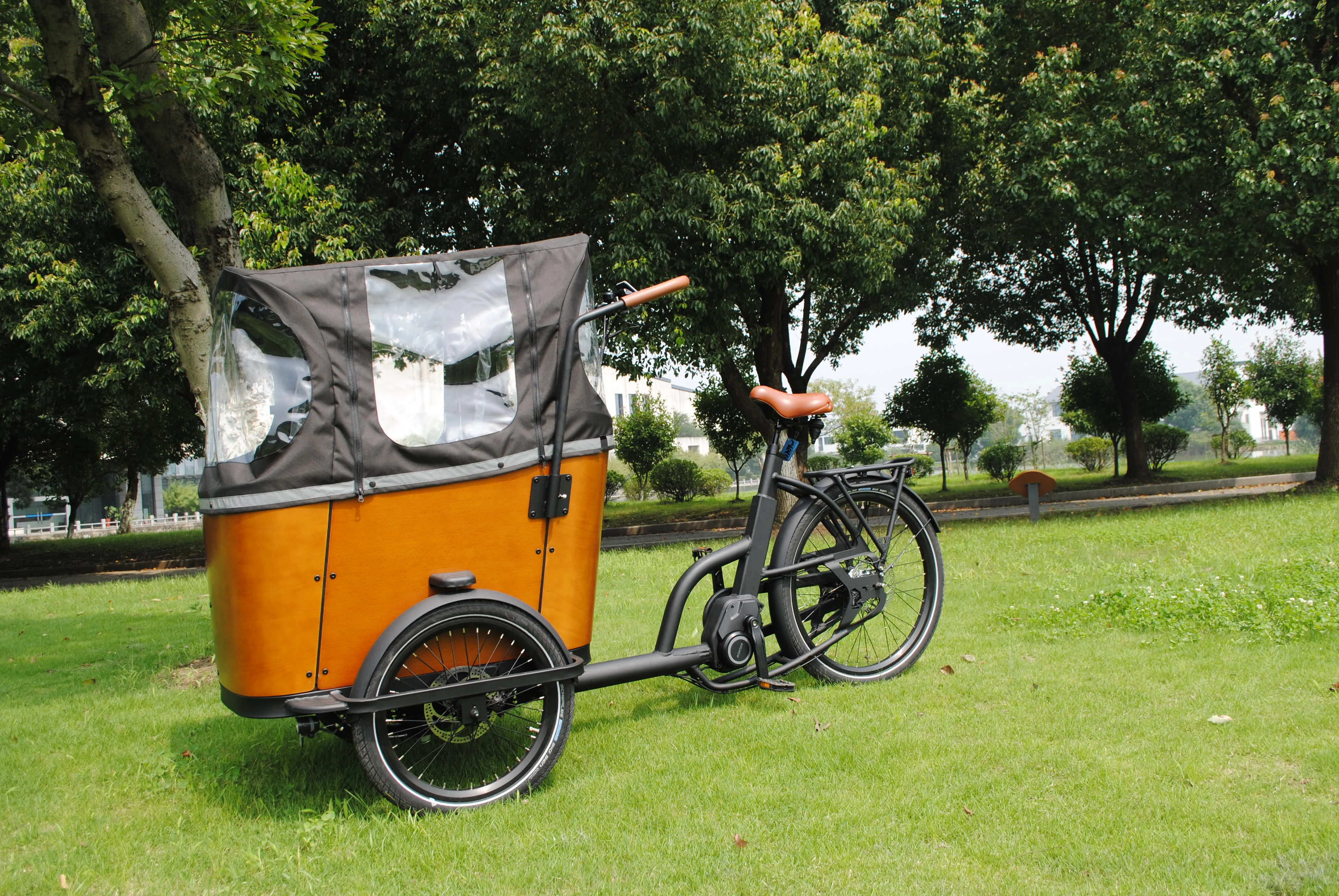 Electric trikes with Aluminium frame for adults High quality and good protection delivery electric bike