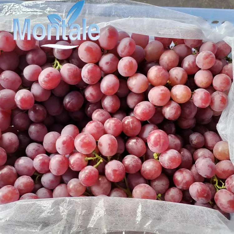 High Quality Fresh Wholesale Fresh & Sweet Seedless Organic Red Globe Grapes Fresh