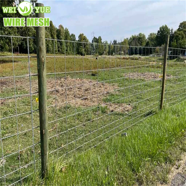 Hot dip galvanized wire grassland fences cattle sheep deer field  panels fencing