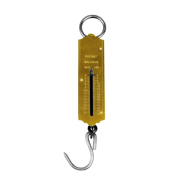 Travel Spring Balane Fish, Scale Hanging Spring Scale/