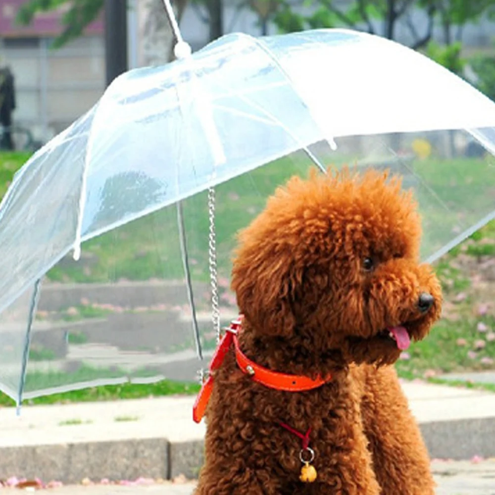 Umbrellas Waterproof For Dog J Handle Manufacturer Wholesale With Logo Printing Manual Dog Umbrella