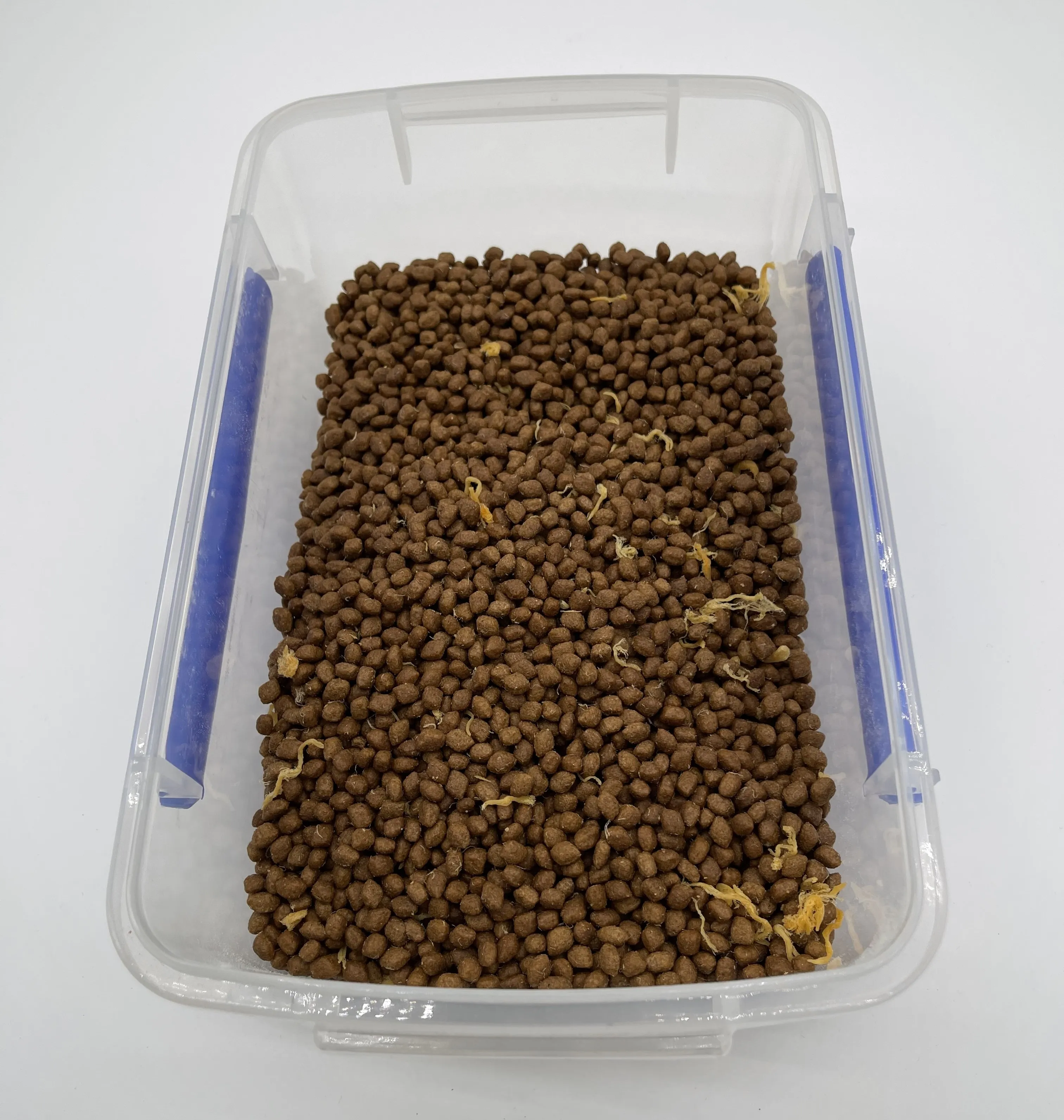 Wholesale Delicious Cats Treats Dry Pet Food Nutrition Fresh Meat Cat Snack Dry Food