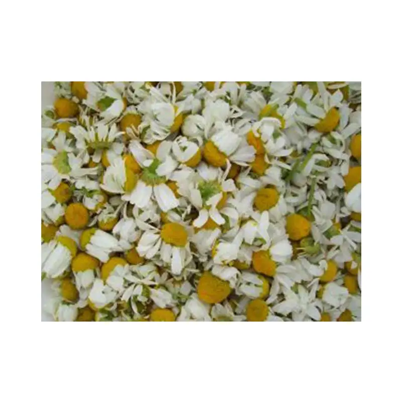 Factory price dried Chamomile Passion Flower Tea  Chamomile flowers Chamomile flower