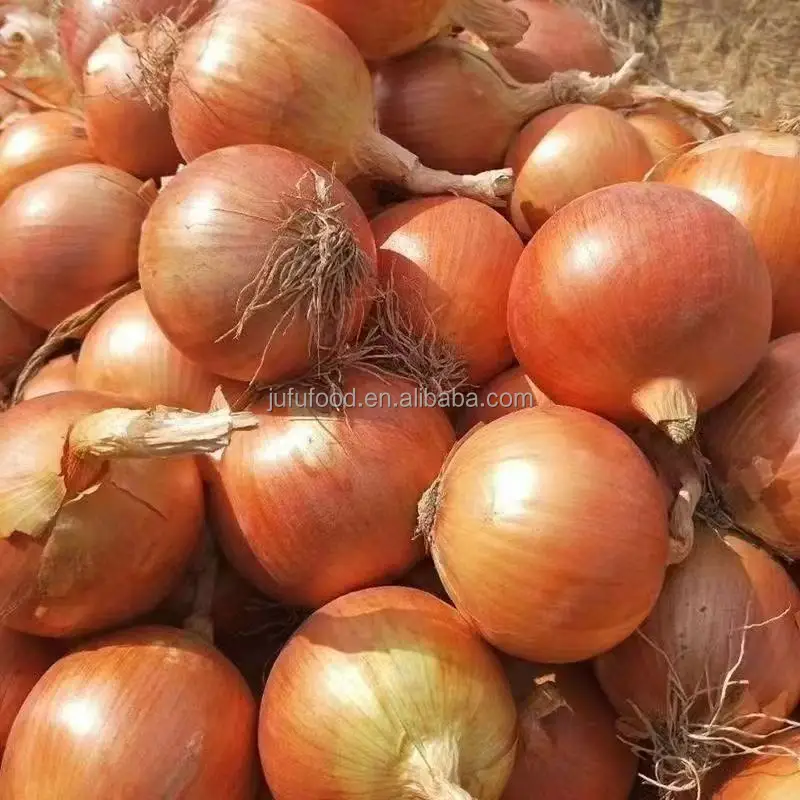 Onion From China Red Yellow Onion Seeds