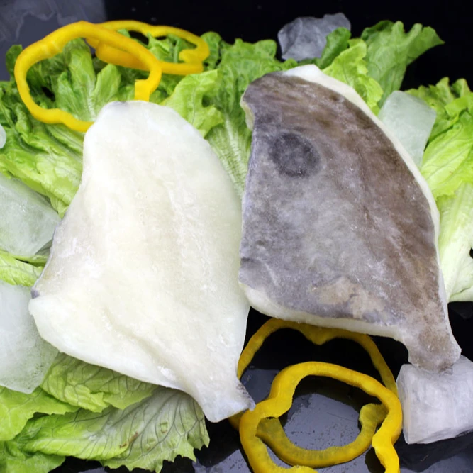 
Black dory fillets in fish frozen seafood 