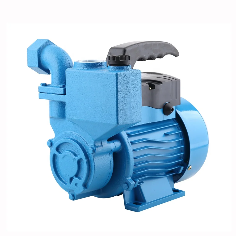220V 50HZ 0.5Hp Iraq Hot Sale Wholesale 1 Inch Automatic Water  Pump With Handle
