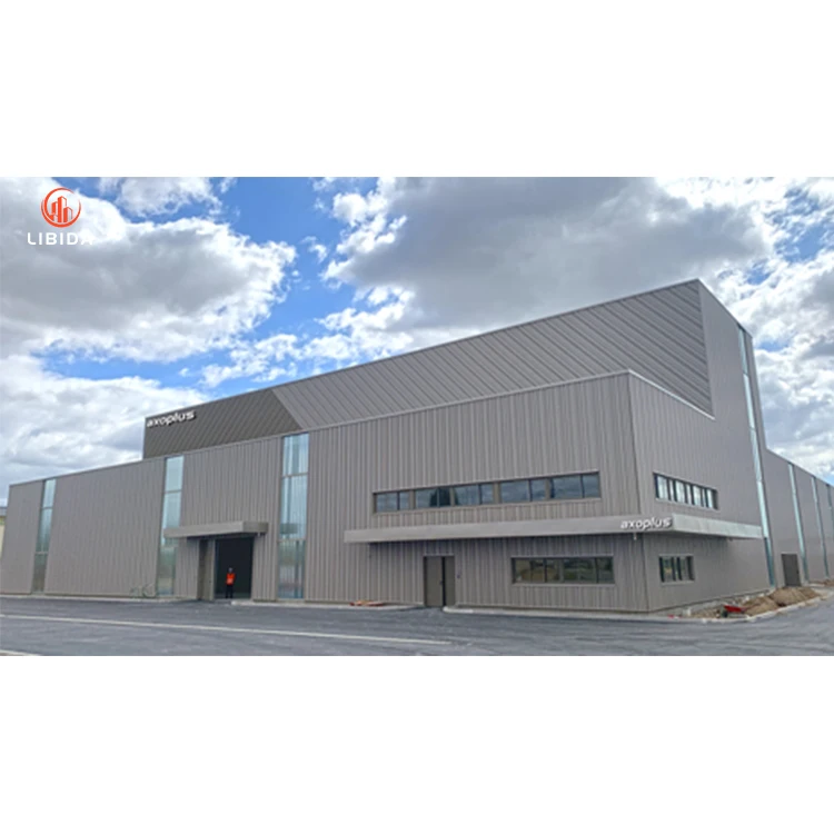 Prefabricated Workshop/prefab Warehouse/steel Structure Warehouse/hall/hanger