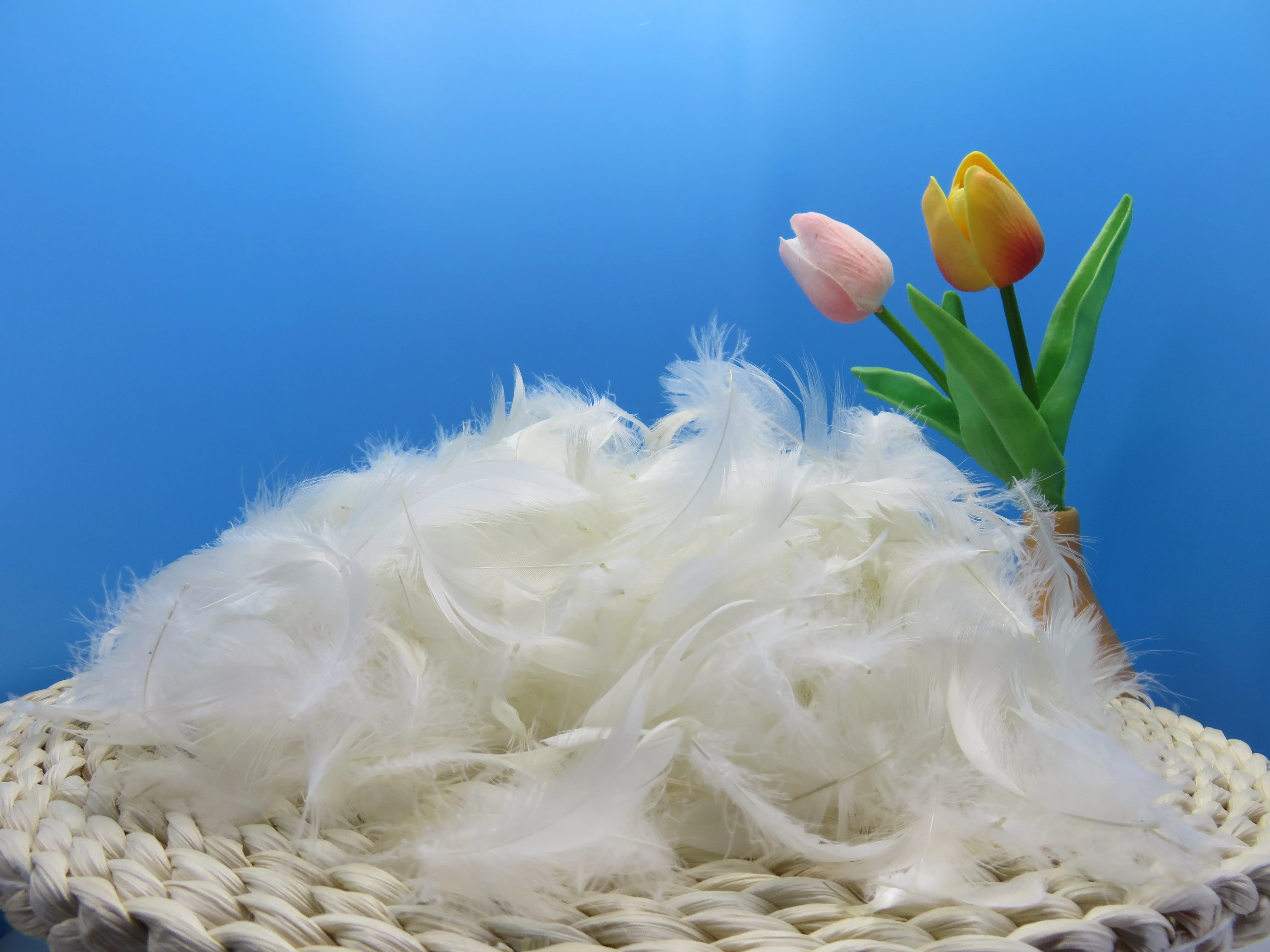 4-6cm White Duck Feathers Washed Pattern Product