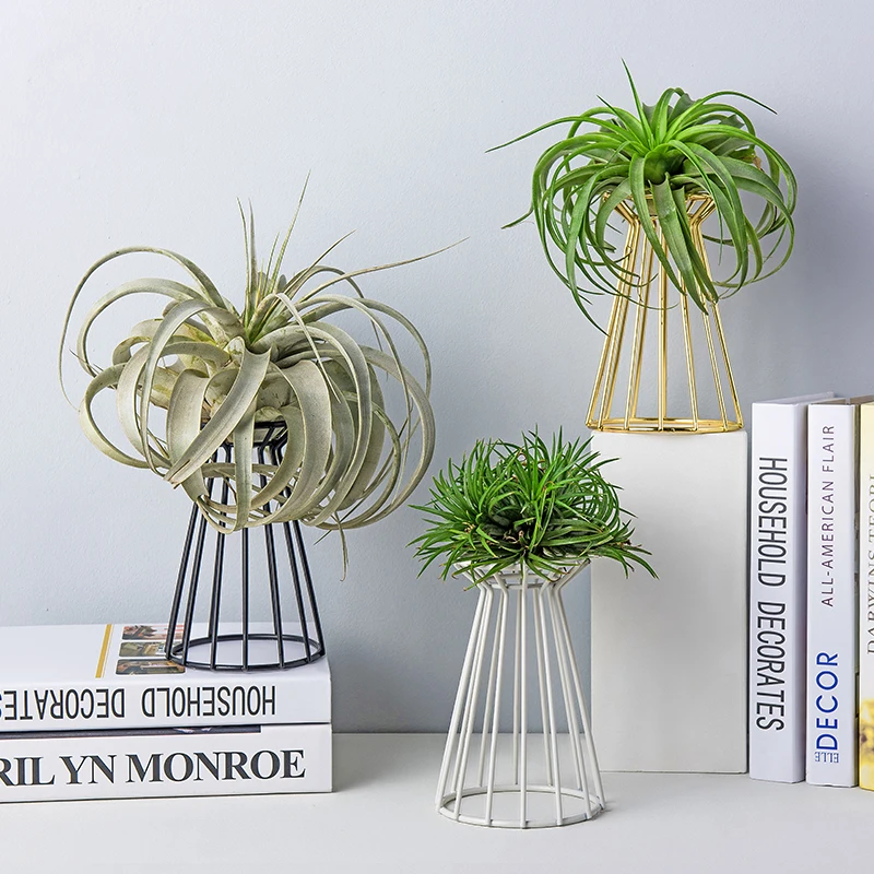 Creativity Mesh Plant Stand Home Decoration Table Top Flower Stand Plants Office Table Decor Nordic Indoor Metal Plant Stands