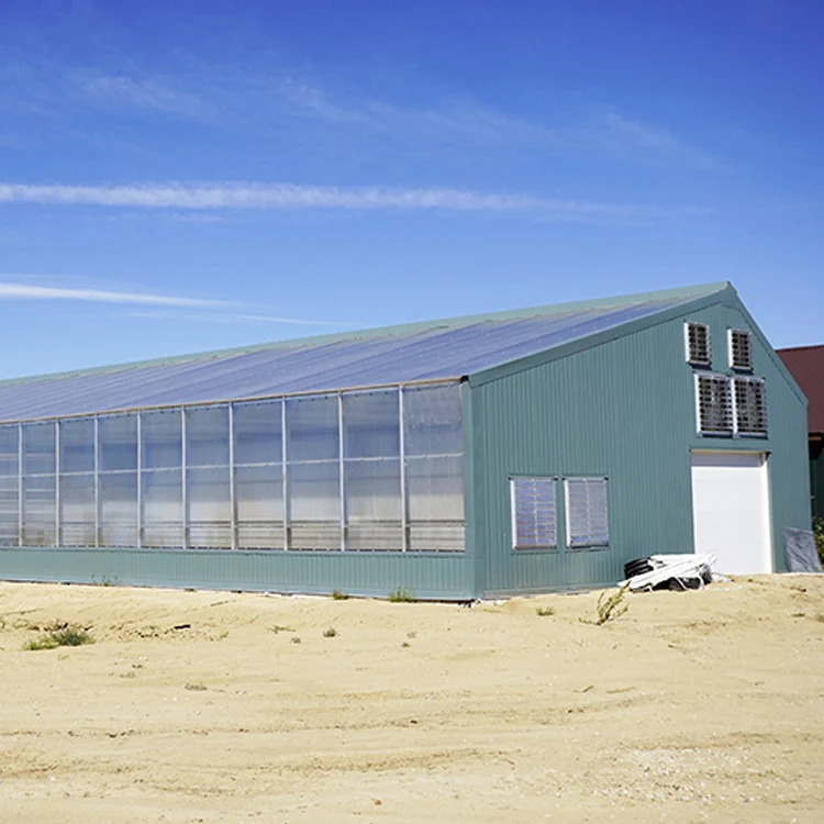 Дешевая оптовая торговля Коммерческая сельскохозяйственная теплица