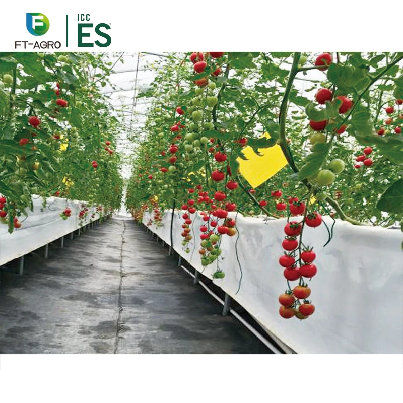 China Good Quality Multi-Span Film Hydroponic System Greenhouse for Strawberry Growing