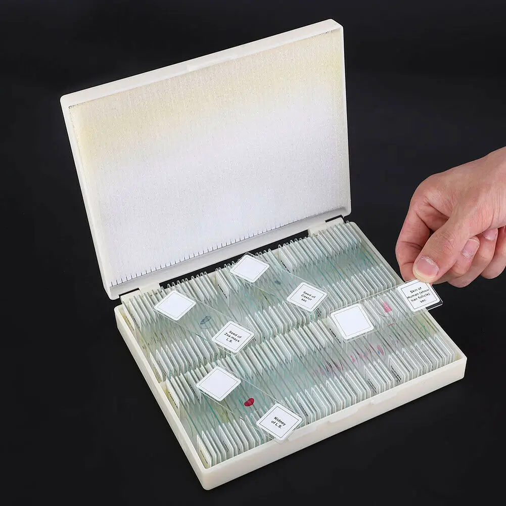 Histology Prepared Slides Microscope Slide