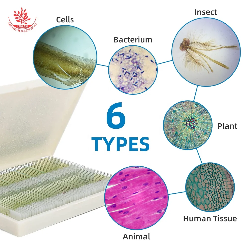 Microscope Prepared Slides 5pcs Connective Tissue Slide Biology High Quality Best Price For Educational Purpose Histology Slides