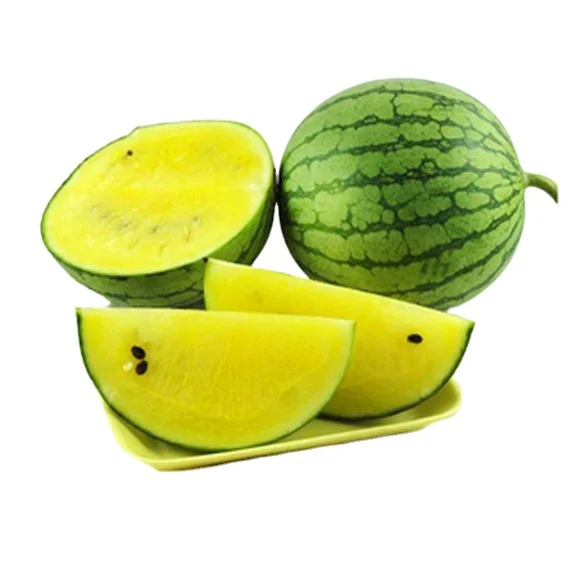 
Высококачественные гибридные продолговатые формы, зеленые корки, желтые плоти, устойчивые к трещинам, семена арбуза 