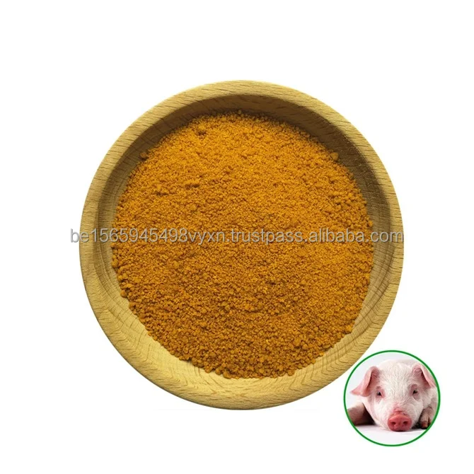 Maize Gluten/Corn Gluten 45500/metric ton available | Starch & Corn Derivatives