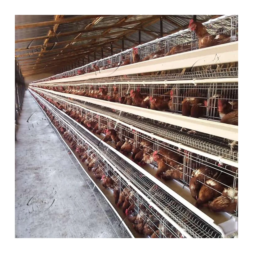 High Quality A Type Hot Dip Galvanized Battery Chicken Pen Egg Layer Cages With Poultry Farm Design Layout For Sale In Pakistan