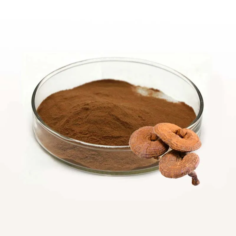 Ganoderma Lucidum OEM Organic Reishi Mushroom Extract Powder Top Quality