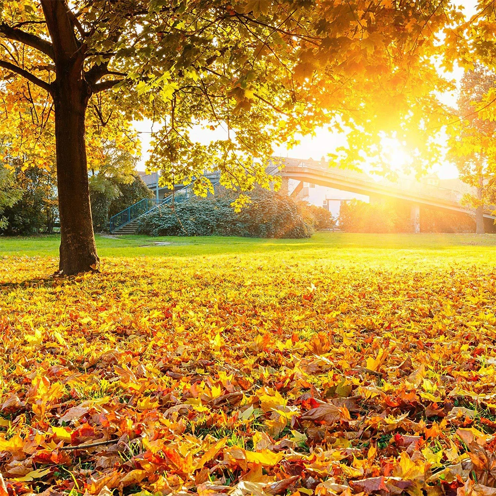 Maple Leaves Artificial Fall Leaves Assorted Mixed Faux Fall Color Maple Leaves Decoration Fake Maple Art for Craft, Wedding