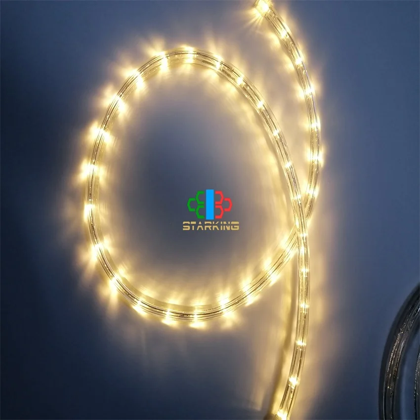 Hot sale 36leds/m led rope light 100m 50m one roll for retail or project