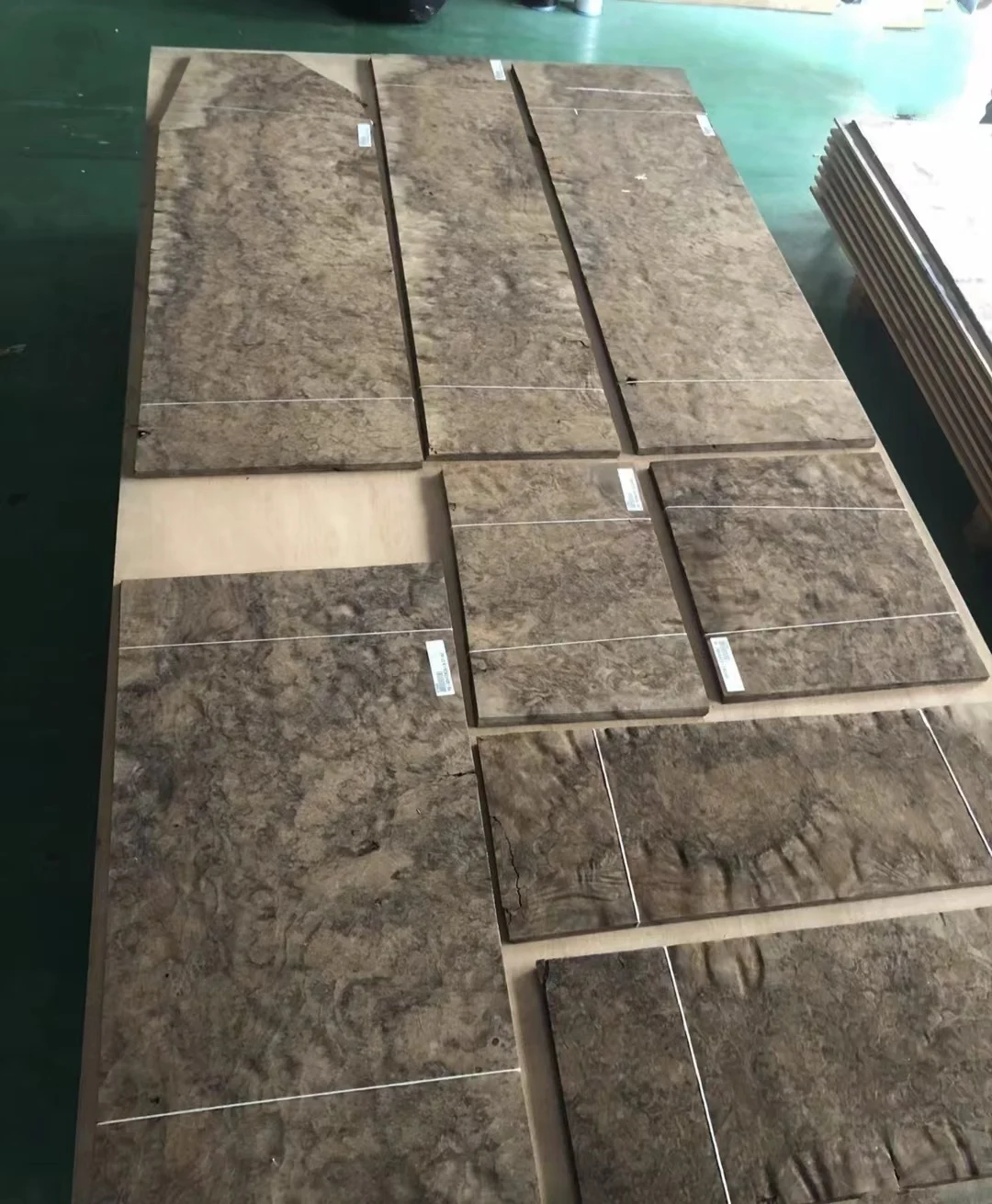Big Size Black Walnut Crotch Veneer in Stock