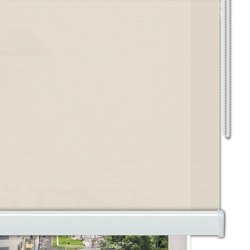 Hot Sell Somfy Motorized Roller Blinds, Roller Blind Mechanism And Project Roller Blind