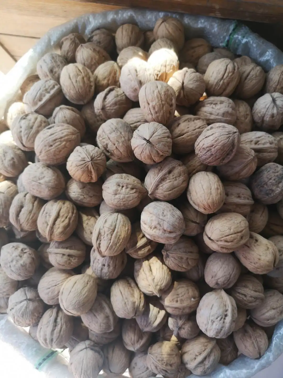 Best Price Shell Walnuts Peeled for Sale