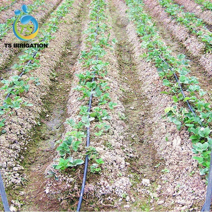 Good price new materials drip irrigation tape small farm land watering irrigation system