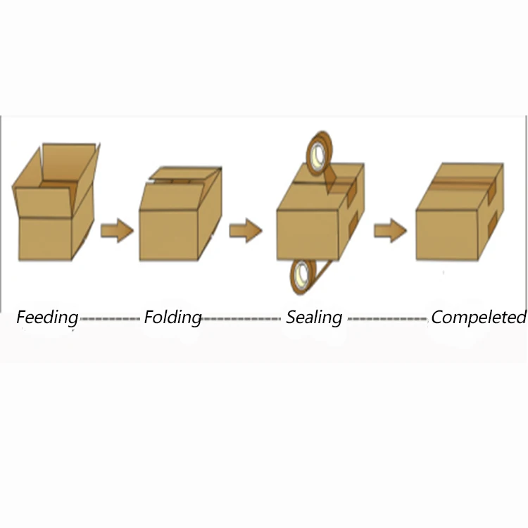 Customized Case making machine, Case packer, Food&Beverage case packaging machine