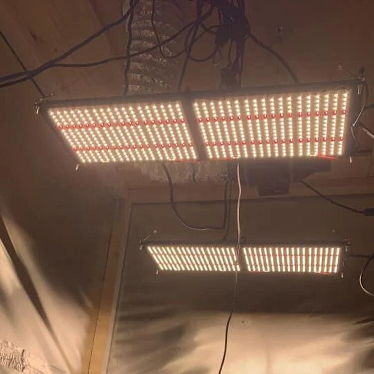  Meiju Samsung LM301B/H 3000K/3500K Mix IR 240 нм 2021 Вт QB Led лидер Продаж светодиодная промышленная лампа для медицинских