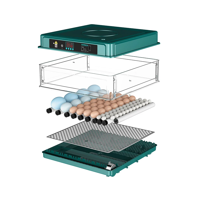 Automatic Temperature Control 48 Eggs Fully Automatic Mini Incubator For Chicken