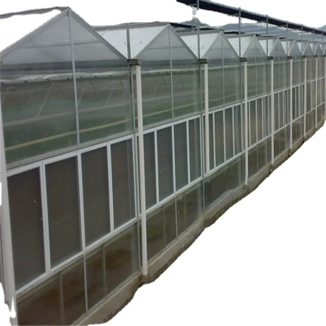 Hot Sale agricultural hydroponics Venlo PC Sheet greenhouse Multi-Span Commercial  for strawberry/tomato/growing PC greenhouse