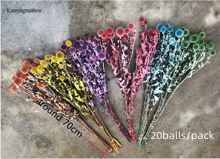 Wholesale preserved dried Globe Thistle Dried Echinops Sphaerocephalus Blue Eryngium planet flower