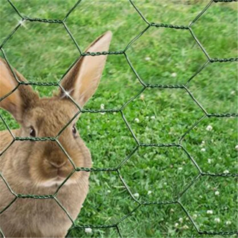 Good Price Galvanized Hexagonal wire mesh for chicken wire lowes / wire mesh Diamond Hexagonal Mesh Chicken Cage