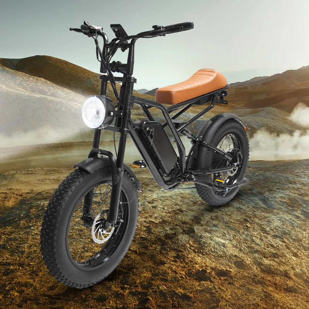 Electric Bikes Ebike Bicycles 1000W 48V City Adult 2 Wheel Electric Bicycle for Adult Fat Tire 180 kg Load Electric Bicycle