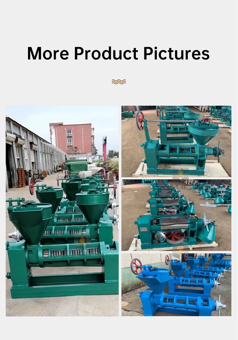 Electricity oil press machine screw press