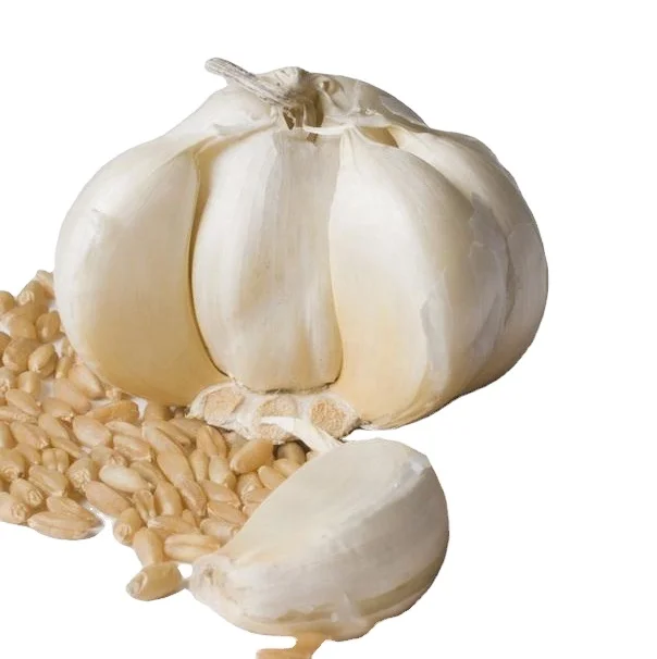 China/Chinese Fresh White Garlics Supplier (red garlic/white garlic) 500G/1KG